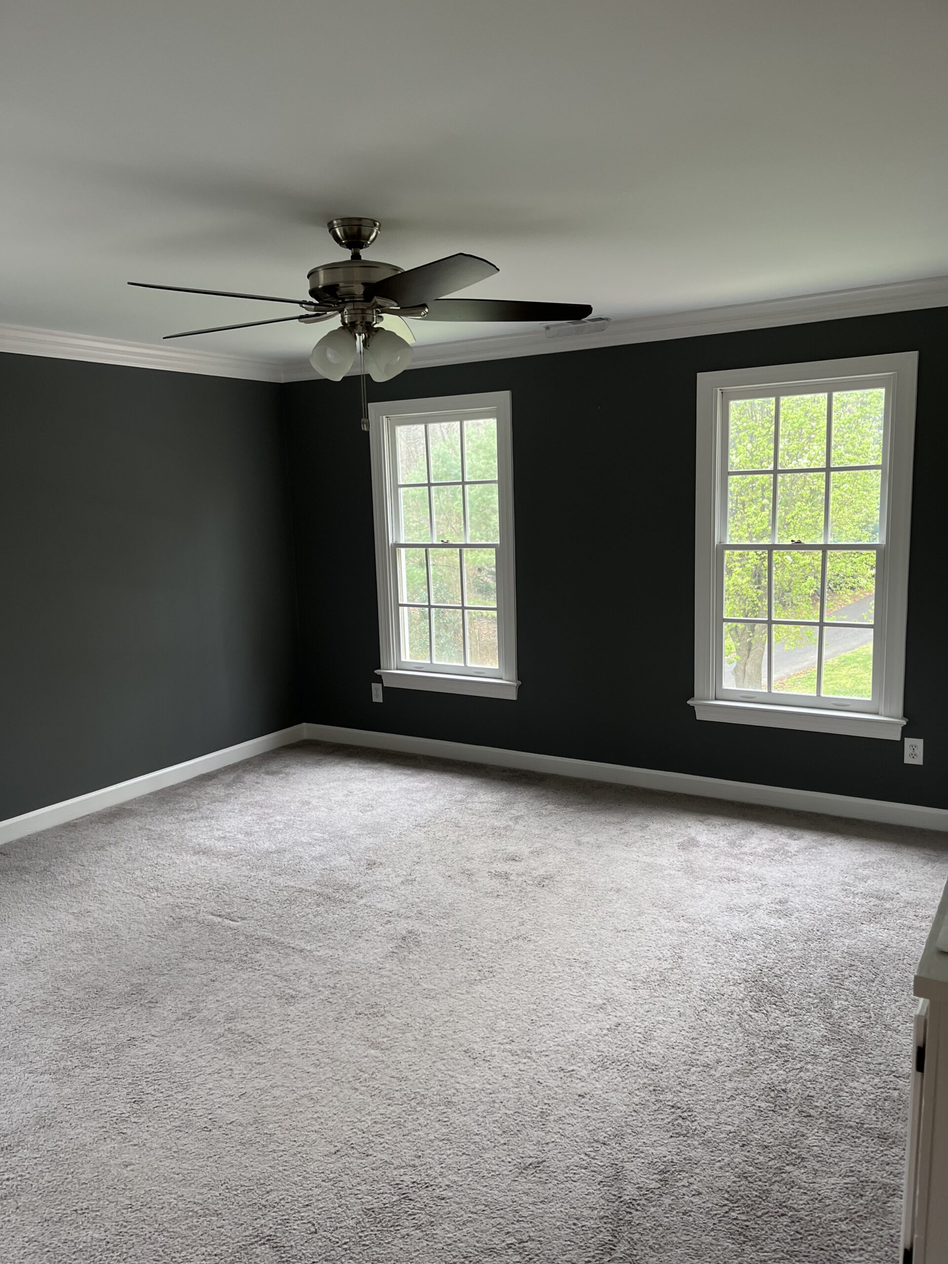 Interior door color update, Greensboro, NC 2